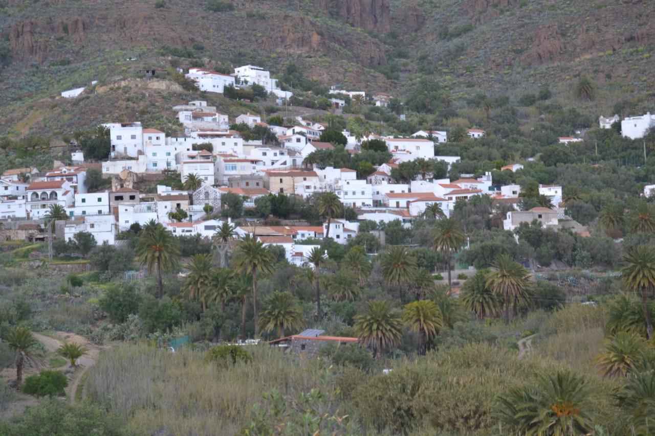 Las Palmeras Temisas Dış mekan fotoğraf