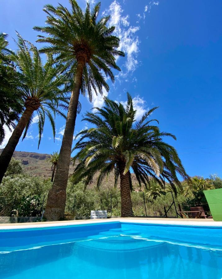 Las Palmeras Temisas Dış mekan fotoğraf