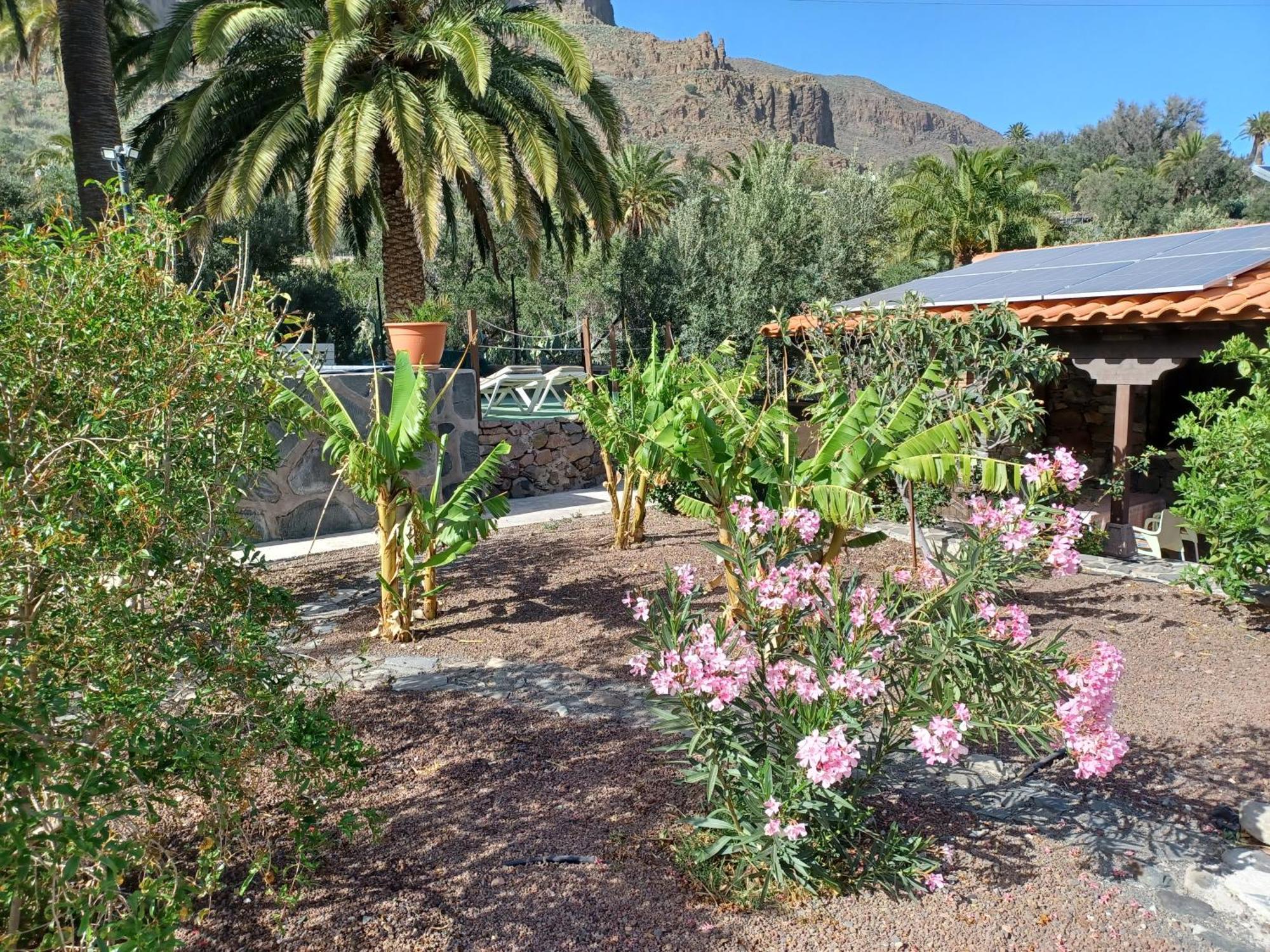 Las Palmeras Temisas Dış mekan fotoğraf